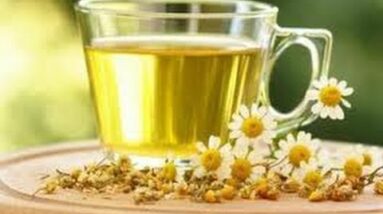 Best Teas For FAST Weight Loss Under $10 6 Best Teas For FAST Weight Loss Under $10